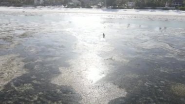 Tanzanya 'nın Zanzibar kıyısındaki okyanusta alçak gelgit manzarası