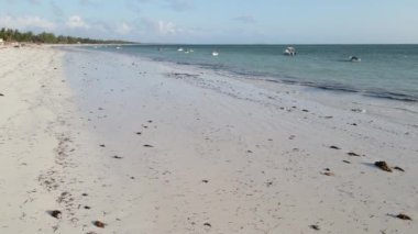 Zanzibar, Tanzanya - kıyıya yakın okyanusta gelgit