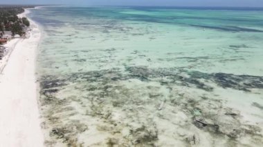 Zanzibar, Tanzanya - kıyıya yakın okyanusta gelgit