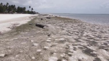 Zanzibar, Tanzanya - kıyıya yakın okyanusta gelgit