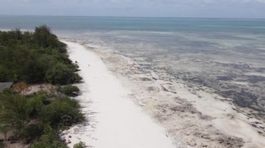 Zanzibar, Tanzanya - kıyıya yakın okyanusta gelgit