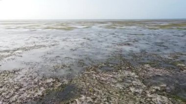 Zanzibar, Tanzanya - kıyıya yakın okyanusta gelgit