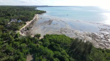 Zanzibar, Tanzanya - kıyıya yakın okyanusta gelgit