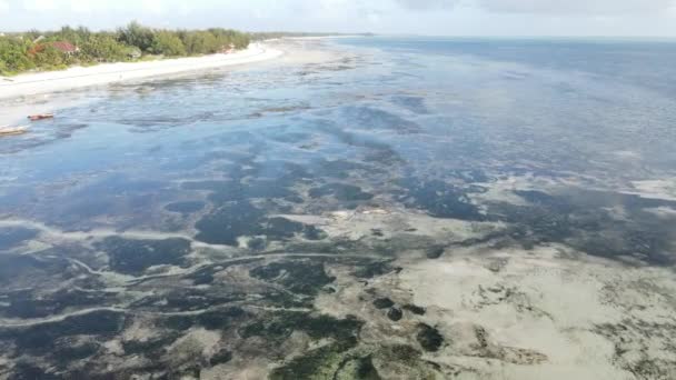 Flygfoto över lågvatten i havet nära kusten i Zanzibar, Tanzania — Stockvideo