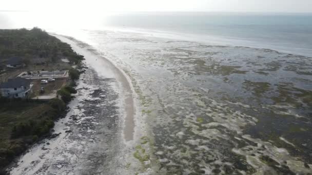 Aerial view of low tide in the ocean near the coast of Zanzibar, Tanzania — Stock Video