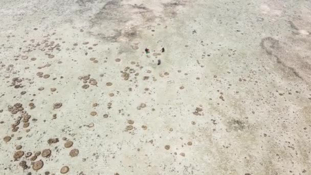 Luchtfoto van laagwater in de oceaan bij de kust van Zanzibar, Tanzania — Stockvideo