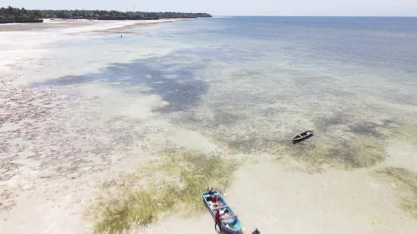 Vista aérea da maré baixa no oceano perto da costa de Zanzibar, na Tanzânia — Vídeo de Stock