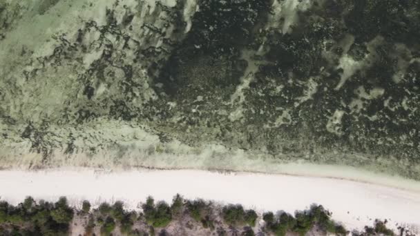 Αεροφωτογραφία της χαμηλής παλίρροιας στον ωκεανό κοντά στις ακτές της Ζανζιβάρης, Τανζανία — Αρχείο Βίντεο