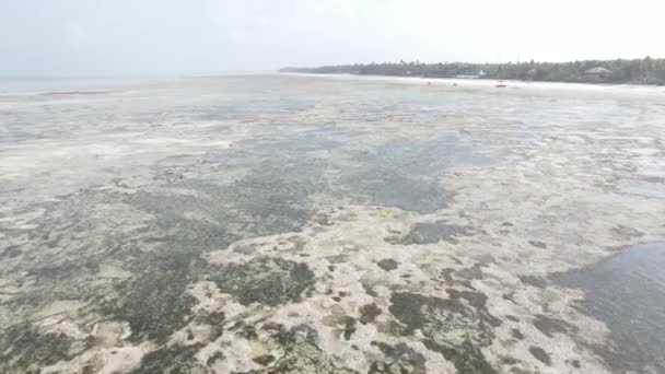 Vista aérea de la marea baja en el océano cerca de la costa de Zanzíbar, Tanzania — Vídeos de Stock