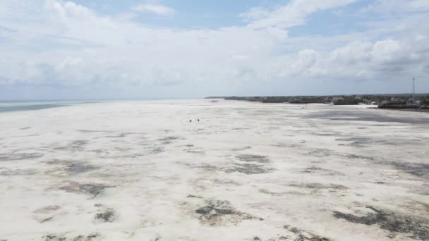 Vue aérienne de la marée basse dans l'océan près de la côte de Zanzibar, Tanzanie — Video