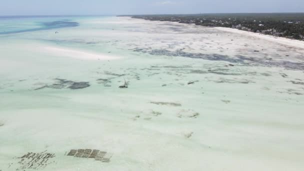Veduta aerea della bassa marea nell'oceano vicino alla costa di Zanzibar, Tanzania — Video Stock