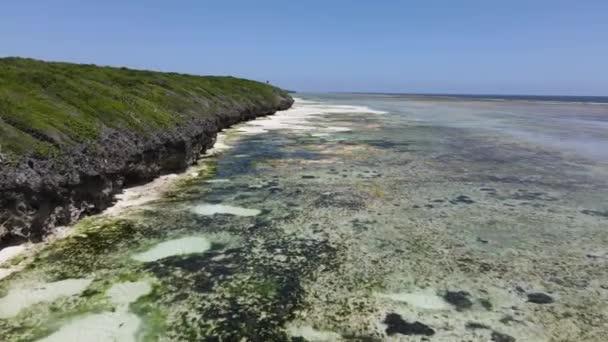 Veduta aerea della bassa marea nell'oceano vicino alla costa di Zanzibar, Tanzania — Video Stock