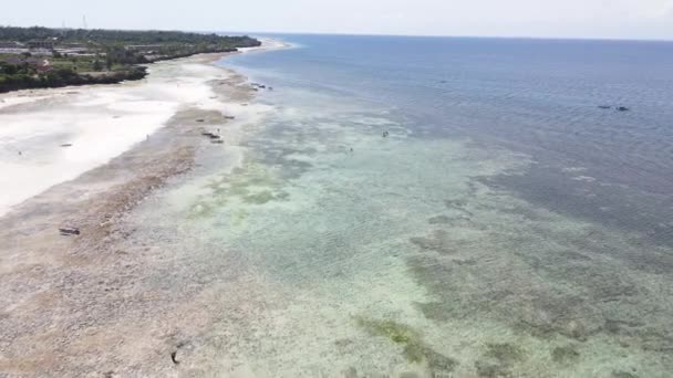 Aerial view of low tide in the ocean near the coast of Zanzibar, Tanzania — Stock Video