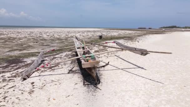 Zanzibar, Tanzania - low tide in the ocean near the shore — Stock Video