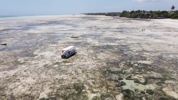 Zanzíbar, Tanzania - marea baja en el océano cerca de la orilla — Vídeo de stock