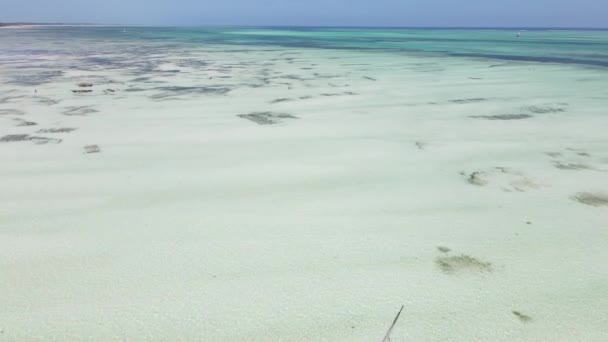 Zanzíbar, Tanzania - marea baja en el océano cerca de la orilla — Vídeos de Stock
