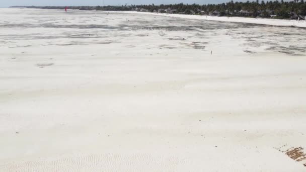 Zanzibar, Tanzanie - odliv v oceánu u pobřeží — Stock video