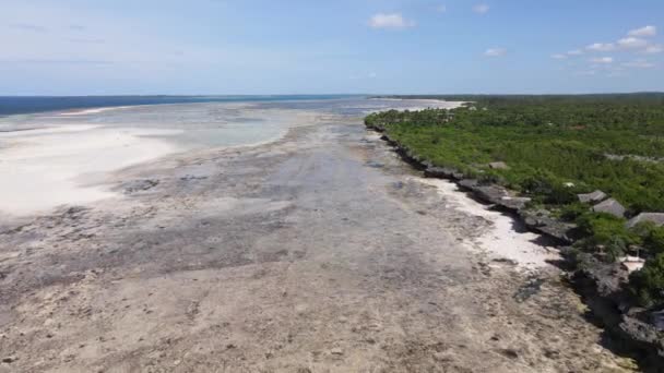 Zanzibar, Tanzania - bassa marea nell'oceano vicino alla riva — Video Stock