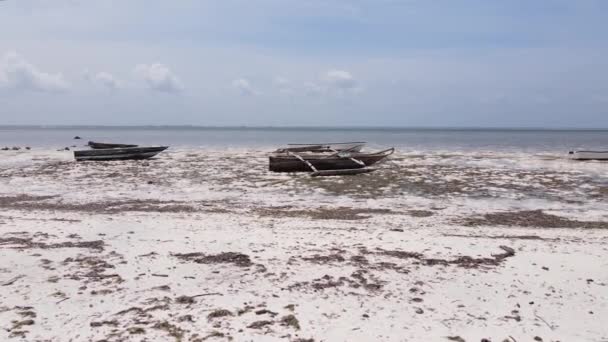 Zanzibar, Tanzania - lågvatten i havet nära stranden — Stockvideo