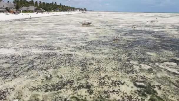 Zanzibar, Tanzanya - kıyıya yakın okyanusta gelgit — Stok video