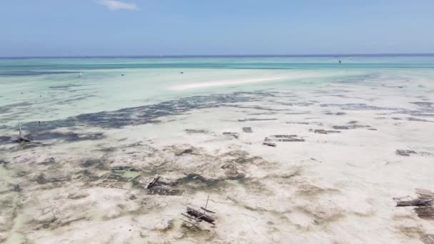 Zanzíbar, Tanzania - marea baja en el océano cerca de la orilla — Vídeos de Stock