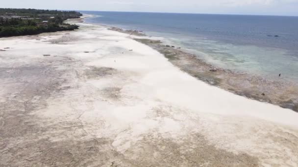 Zanzibar, Tanzânia - maré baixa no oceano perto da costa — Vídeo de Stock
