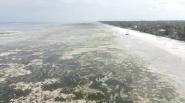 Zanzibar, Tanzanya - kıyıya yakın okyanusta gelgit