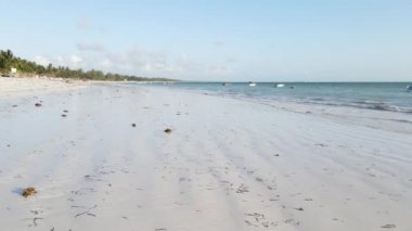 Zanzibar, Tanzanya - kıyıya yakın okyanusta gelgit