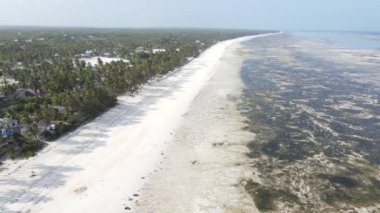 Zanzibar, Tanzanya - kıyıya yakın okyanusta gelgit