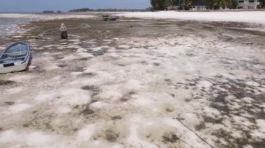 Zanzibar, Tanzanya - kıyıya yakın okyanusta gelgit