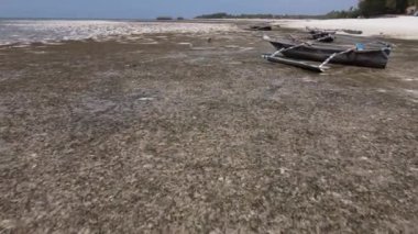 Zanzibar, Tanzanya - kıyıya yakın okyanusta gelgit
