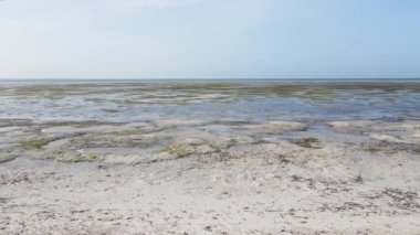 Tanzanya 'daki Zanzibar adasının kıyısında okyanusta gelgit var.