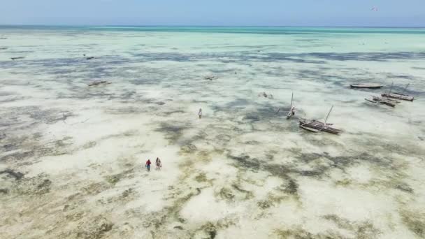 Zanzibar, Tanzania - low tide in the ocean near the shore