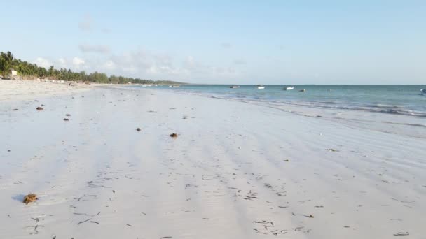 Zanzibar, Tanzania pasang rendah di laut dekat pantai — Stok Video