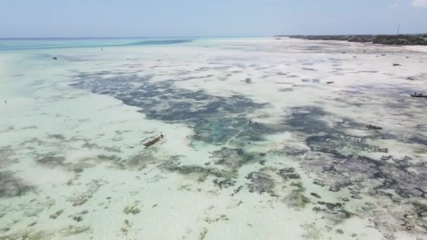 Zanzibár, Tanzánia - apály az óceánban a part közelében — Stock videók