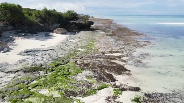 Zanzibar, Tanzânia - maré baixa no oceano perto da costa — Vídeo de Stock