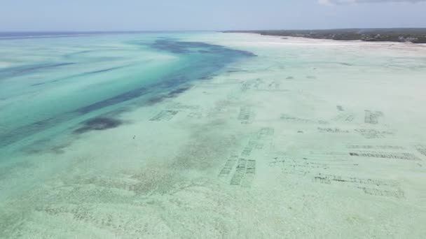 Zanzibar, Tanzânia - maré baixa no oceano perto da costa — Vídeo de Stock