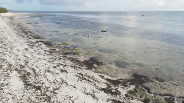 Zanzíbar, Tanzania - marea baja en el océano cerca de la orilla — Vídeo de stock