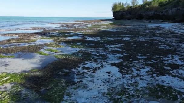 Low tide in the ocean near the coast of Zanzibar island, Tanzania — Stock Video
