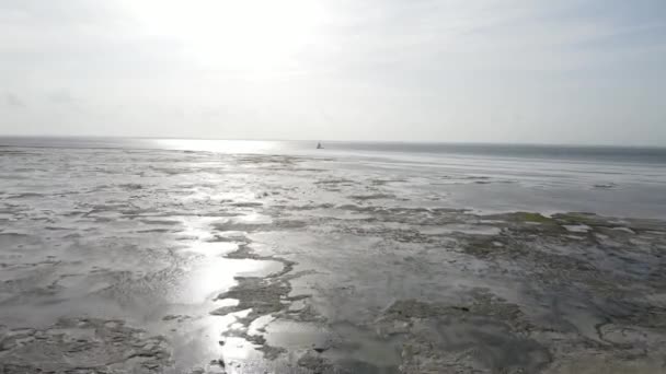 Low tide in the ocean near the coast of Zanzibar island, Tanzania — Stock Video