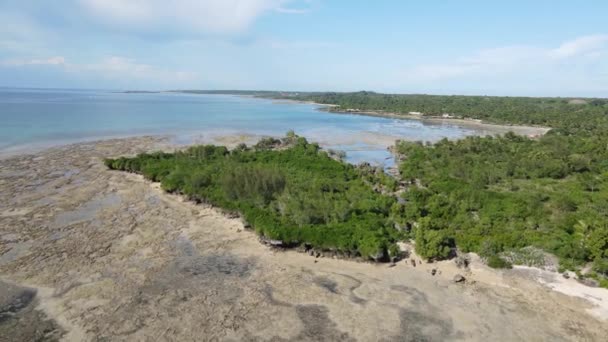 Niedrigwasser im Meer vor der Küste der Insel Sansibar, Tansania — Stockvideo