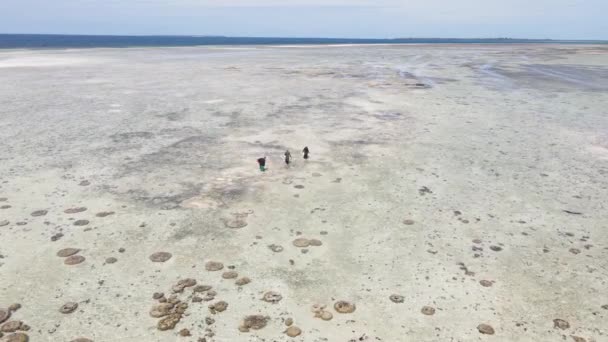 Nízký příliv v oceánu u pobřeží ostrova Zanzibar, Tanzanie — Stock video
