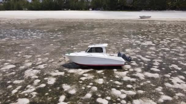 Bassa marea nell'oceano vicino alla costa dell'isola di Zanzibar, Tanzania — Video Stock