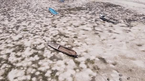 Bassa marea nell'oceano vicino alla costa dell'isola di Zanzibar, Tanzania — Video Stock