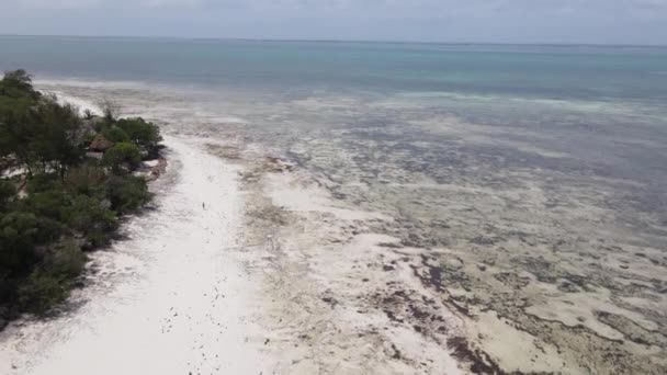 Maré baixa no oceano perto da costa da ilha de Zanzibar, na Tanzânia — Vídeo de Stock