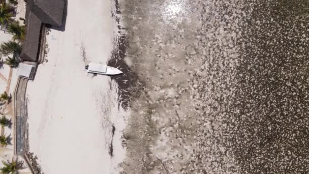 Lågt tidvatten i havet nära kusten av ön Zanzibar, Tanzania — Stockvideo