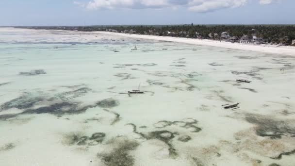 Marea baja en el océano cerca de la costa de la isla de Zanzíbar, Tanzania — Vídeos de Stock