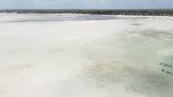 Marea baja en el océano cerca de la costa de la isla de Zanzíbar, Tanzania — Vídeo de stock