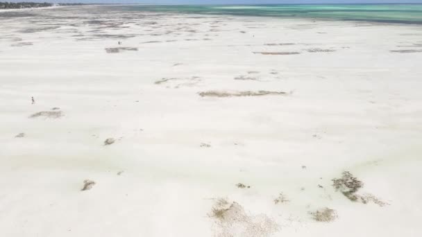 Niedrigwasser im Meer vor der Küste der Insel Sansibar, Tansania — Stockvideo