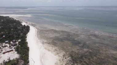 Tanzanya 'daki Zanzibar adasının kıyısında okyanusta gelgit var.